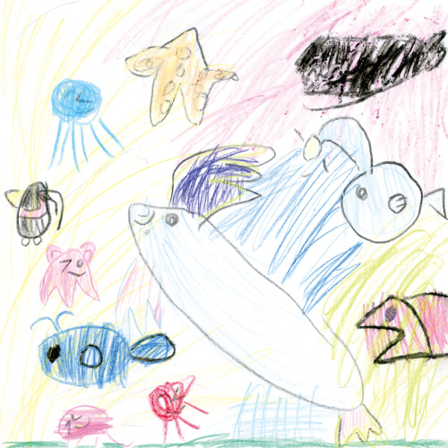 海の生き物大好き!!