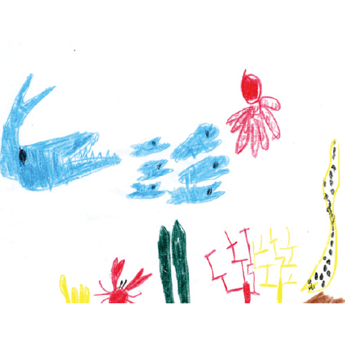海