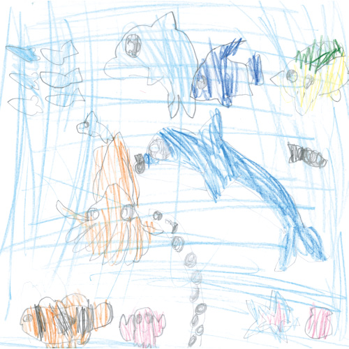 海のいきものたち