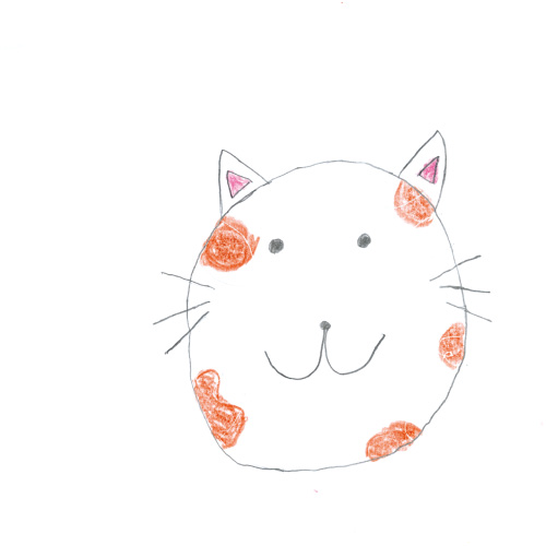 ねこちゃん