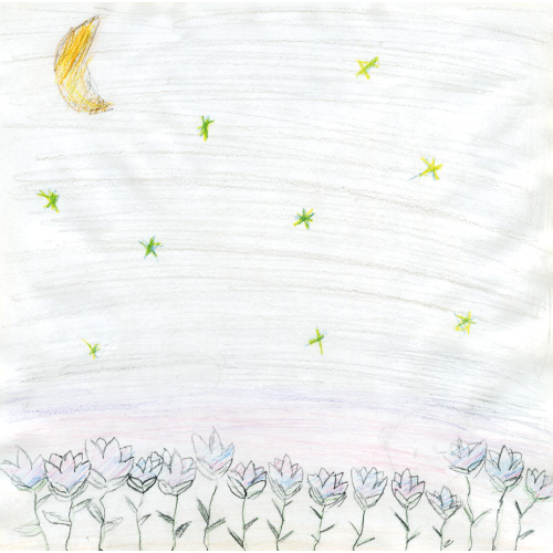 夜の花