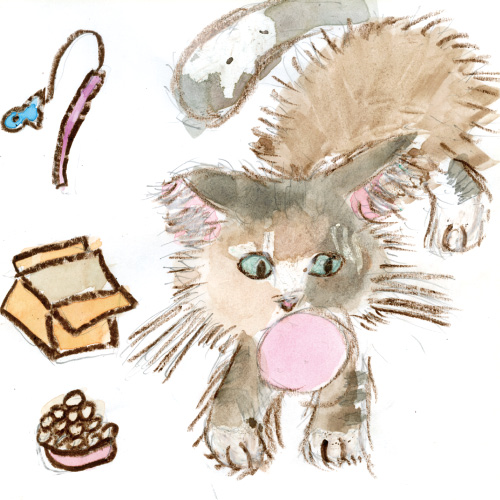 いつもかわいい猫のロコちゃん