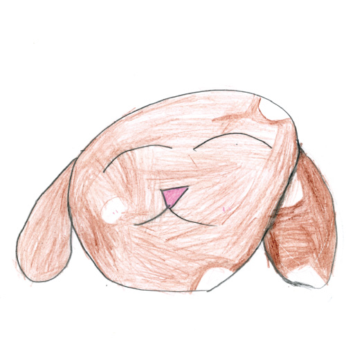 大好きな犬のジョンタ