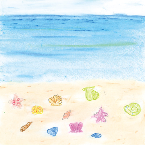 貝がらと海