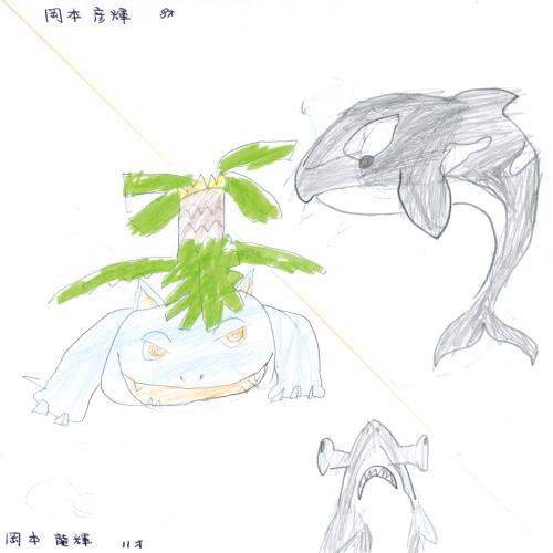 ポケモンと海の生き物