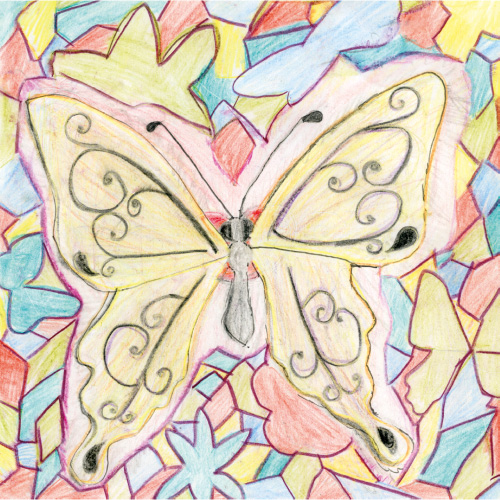 BUTTERFLY