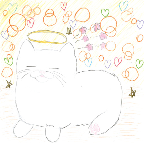 大好きだった白いねこ
