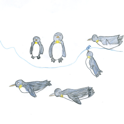 仲間でペンギン