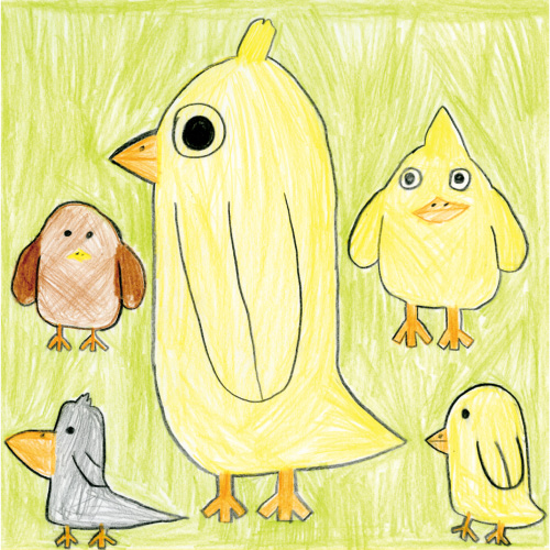 The birds