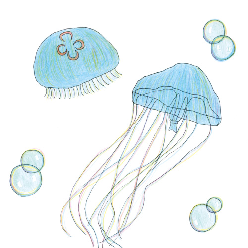 海月