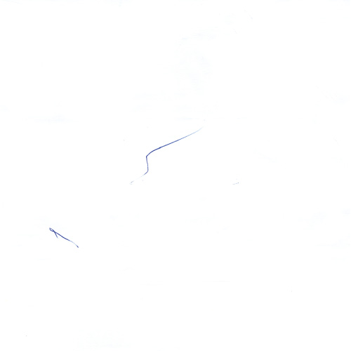 初めてのおえかき？