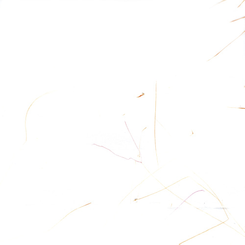 はじめて食べたフルーツ