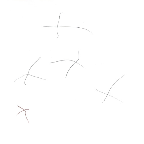 しょ