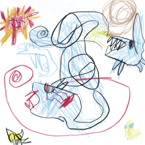 海の生き物たち