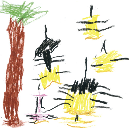 ヘラクレスオオカブトが大発生！