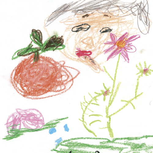 ぼくのすきないもうとと、かき、もも、コスモス、青