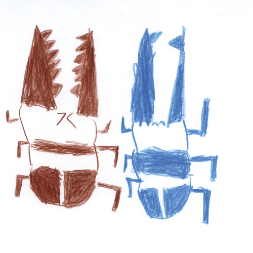 ノコギリクワガタとニジイロクワガタ