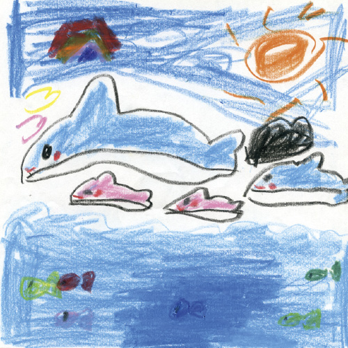 イルカちゃんとうみの中