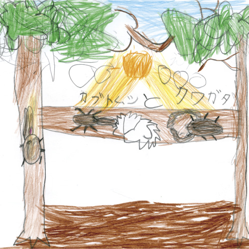 カブトムシとクワガタムシ