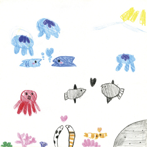 海のいきもの