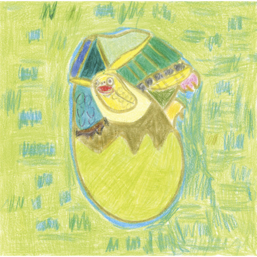 かめさんみーつけた！