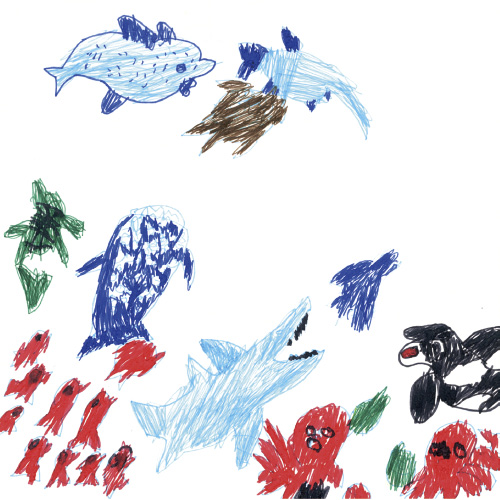 うみのいきものたち