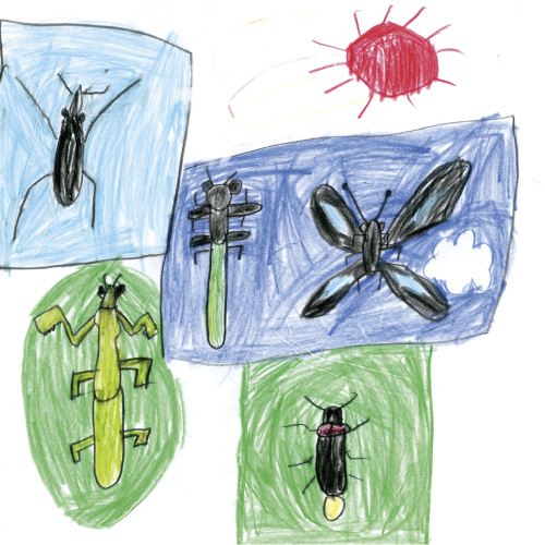 ぼくの好きな生きもの