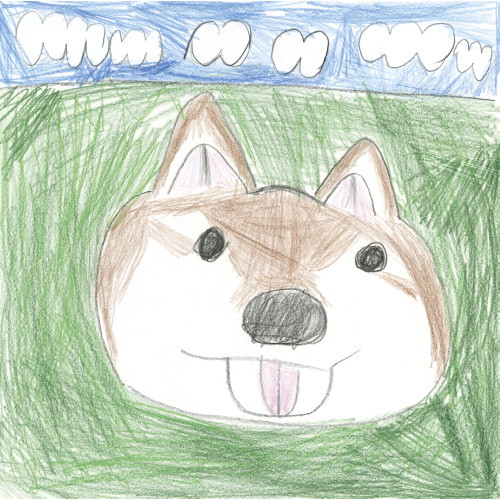 柴犬の陸ちゃん♪”