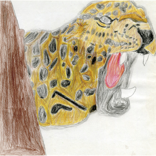 ジャガーのかくれんぼ