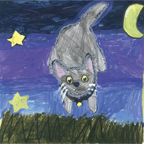 大好きなあこがれのねこちゃん