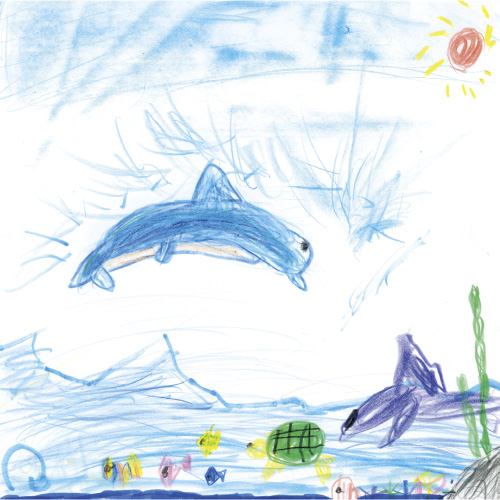 海の生き物たち