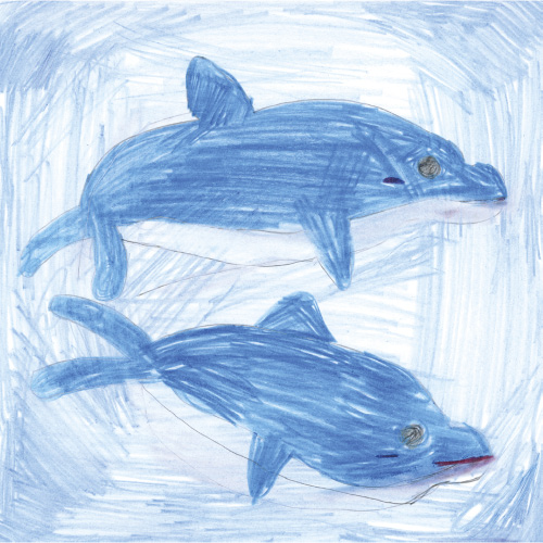 いるかのきうだい