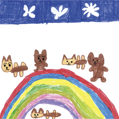 動物のこうしん