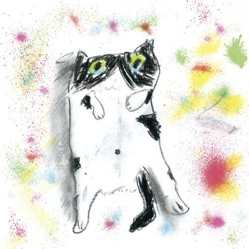 家のねこ大大大好き