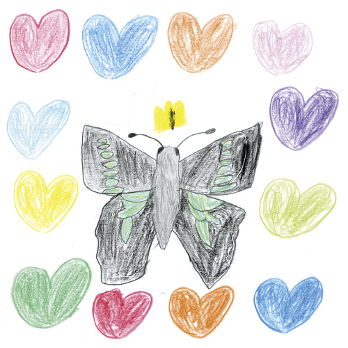 つかまえてみたいアオスジアゲハ