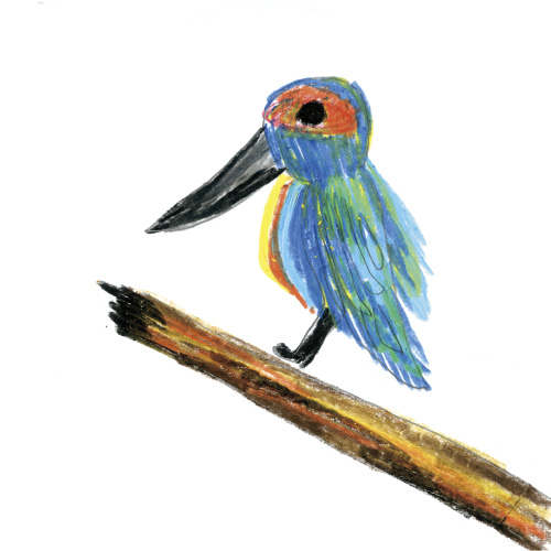 はすいけのカワセミ