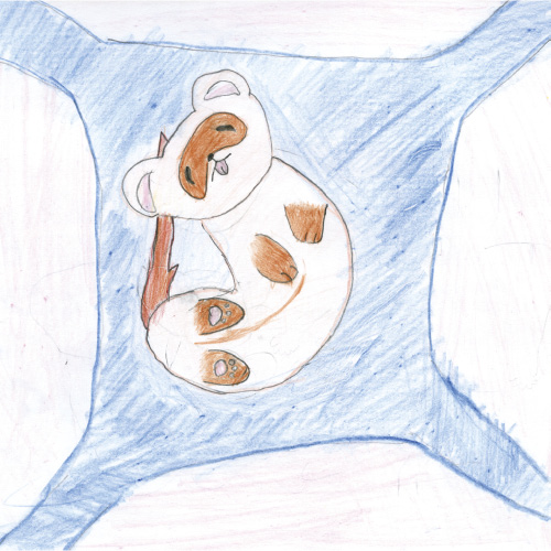 大好きな親友（ラテ）