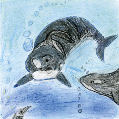 アースとリン　はじめて海をおよぐ