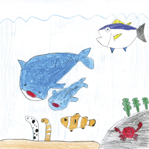 平和な海の魚たち