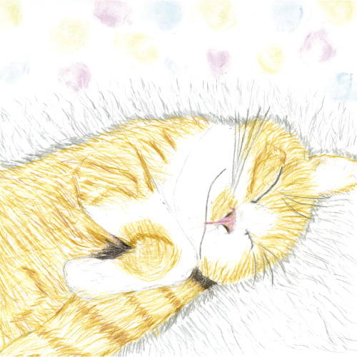 どこにいても忘れない、くー